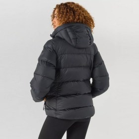 hh active 02